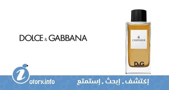 عطر دي اند جي أنثولوجي لمبرور 4 دولشي أند غابانا