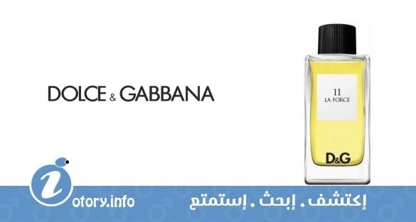 عطر دي اند جي أنثولوجي لا فورس 11 دولشي اند غابانا