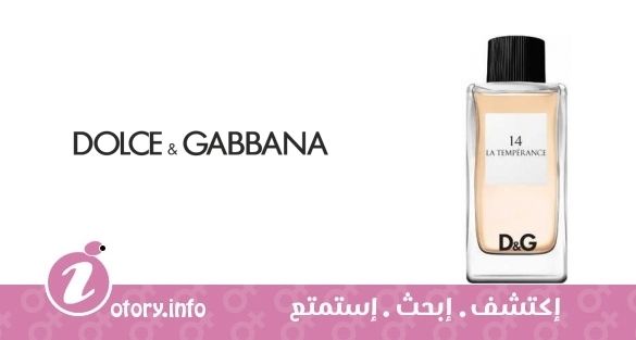 عطر دي أند جي أنثولوجي لا تمبرانس 14