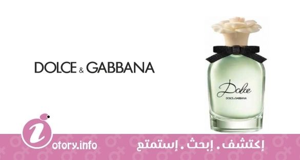 عطر دولشي دولشي اند غابانا