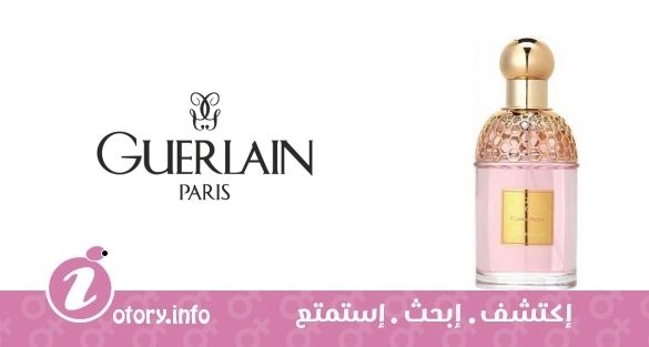 عطر أكوا أليغوريا فلورا روزا