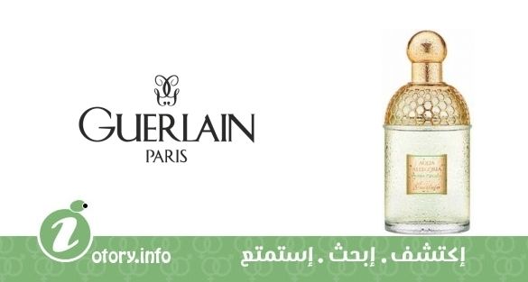 عطر أكوا أليغوريا هيربا فريسكا جيرلان