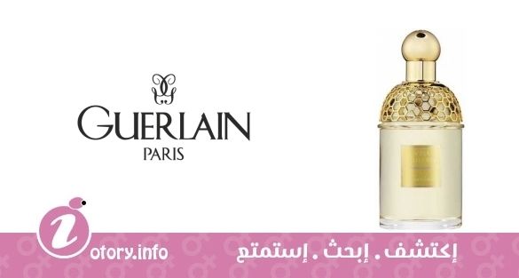 عطر أكوا أليغوريا جاسمينورا جيرلان