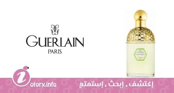 عطر أكوا أليغوريا لاورير ريجليز جيرلان