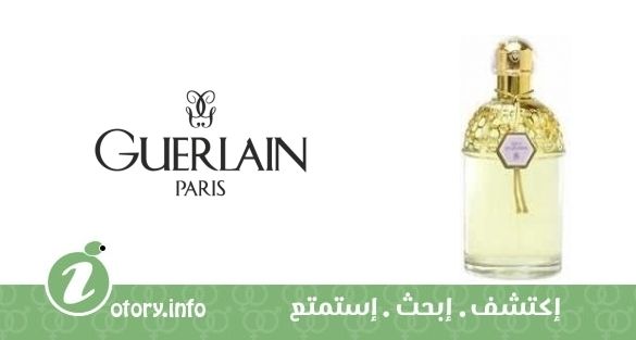 عطر أكوا أليغوريا لافندي فيلورز جيرلان