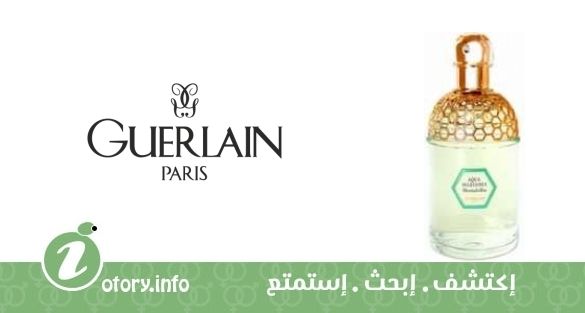 عطر أكوا أليغوريا مينتافوليا جيرلان