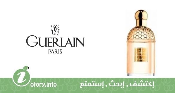 عطر أكوا أليغوريا نيروليا بيانكا جيرلان