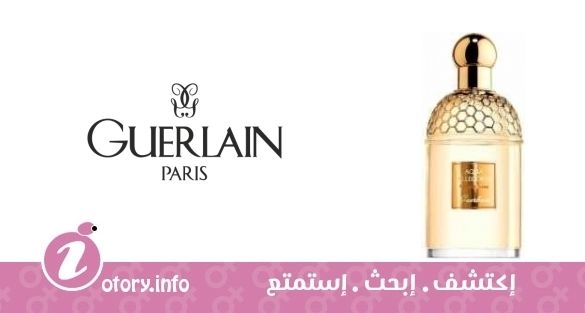 عطر أكوا أليغوريا بامبيل لون جيرلان