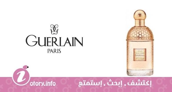 عطر أكوا أليغوريا روزا بلانكا جيرلان