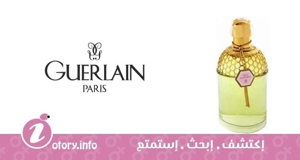 عطر أكوا أليغوريا روزا ماجنيفيكا جيرلان