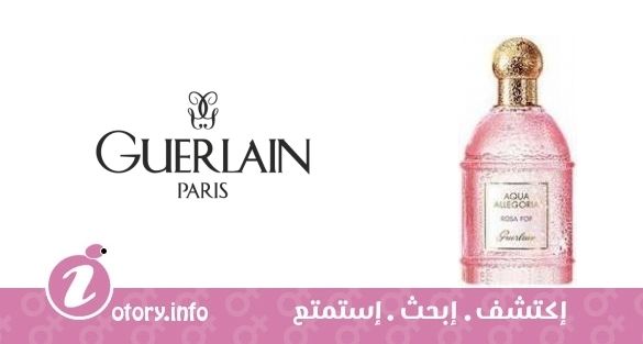 عطر أكوا أليغوريا روزا بوب جيرلان