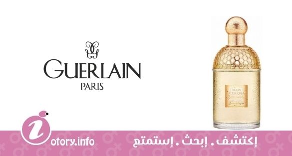عطر أكوا أليغوريا تياري ميموزا جيرلان