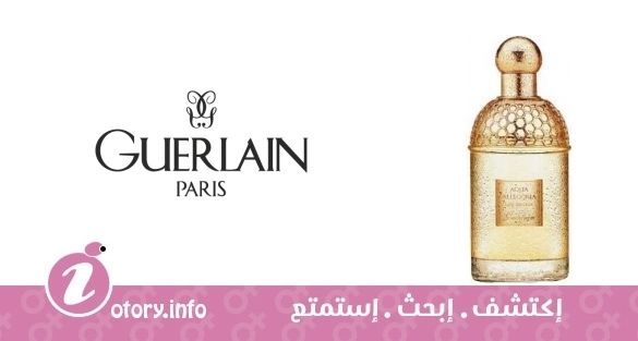 عطر جيرلان أكوا أليغوريا ليز سوليا 