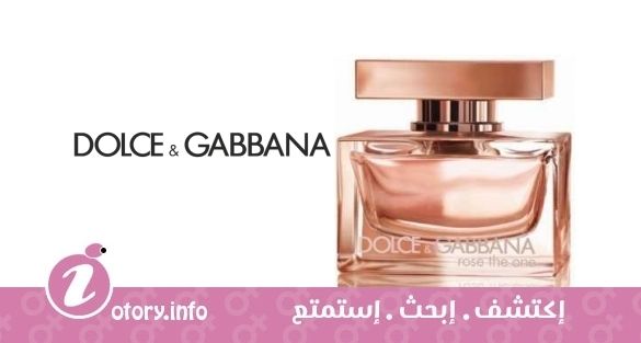 عطر روز ذا وان دولشي أند غابانا