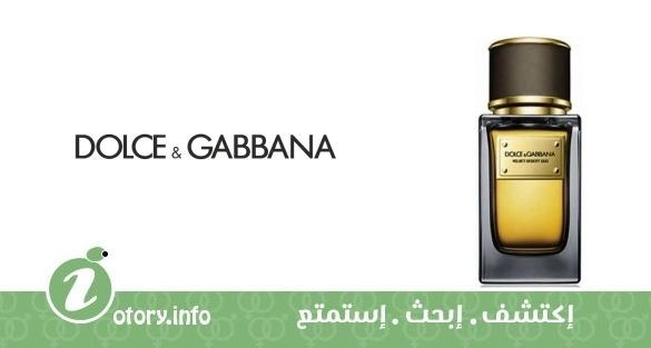 Velvet Desert Oud Dolce&Gabbana