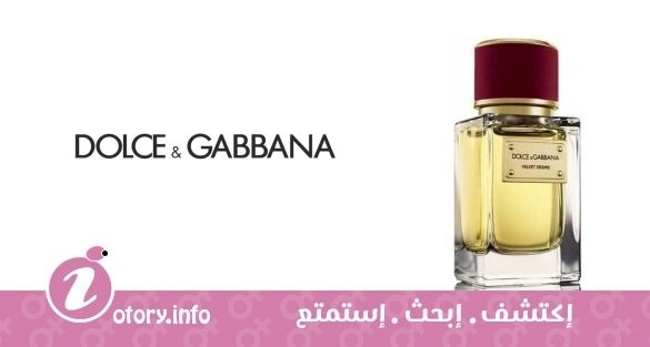 عطر فلفيت ديزاير دولشي أند غابانا