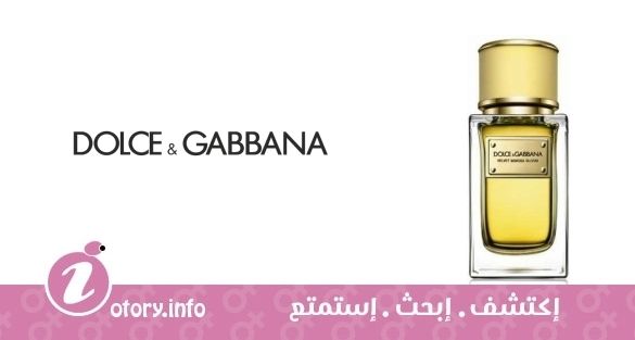 عطر فلفيت ميموزا بلو دولشي أند غابانا