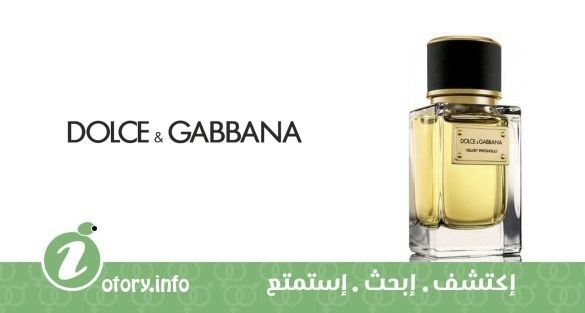 عطر فلفيت باتشولي دولشي أند غابانا