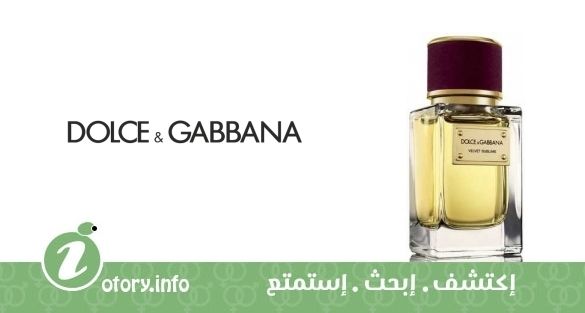 عطر فلفيت صابليم دولشي أند غابانا