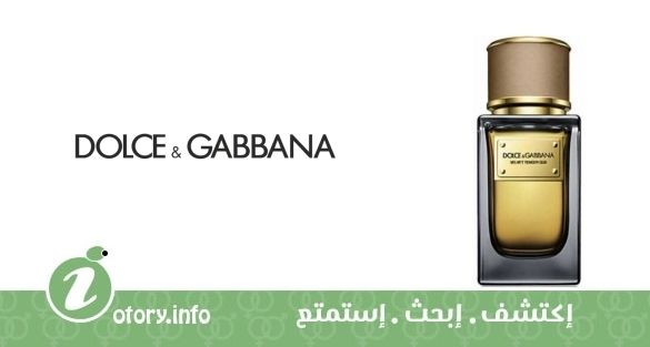عطر فلفيت تندر عود دولشي أند غابانا