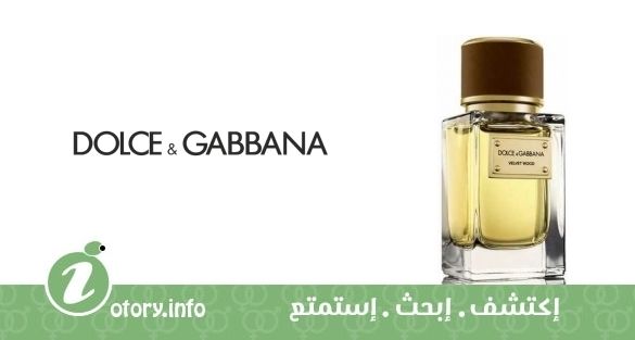 عطر فلفيت وود دولشي أند غابانا