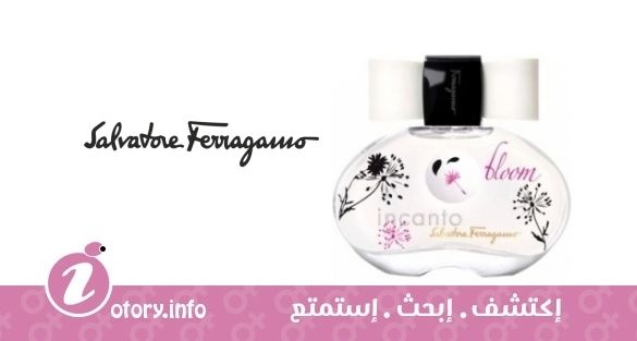 عطر انكانتو بلوم سلفاتور فيراغامو