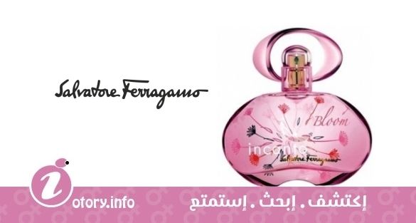 عطر انكانتو بلوم 2014 سلفاتور فيراغامو