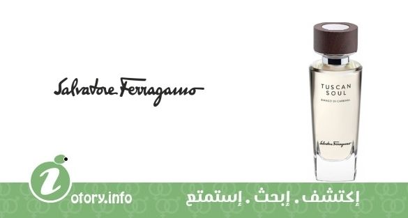 عطر بيانسو دي كارارا سلفاتور فيراغامو