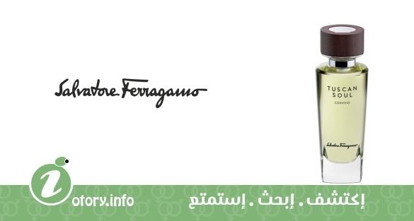 عطر كونفيفيو سلفاتور فيراغامو