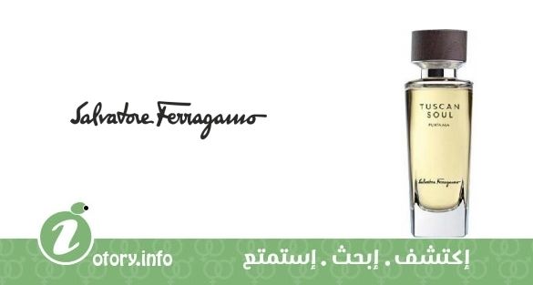 عطر بونتا الا سلفاتور فيراغامو
