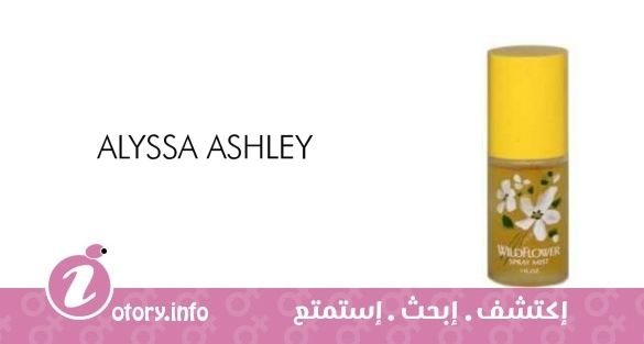 عطر أليسا اشلي وند فلور