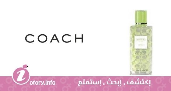 عطر كوتش فريزيا سبلاش
