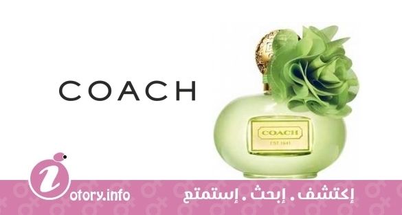 عطر كوتش كوتش بوبي سيترن بلوسوم