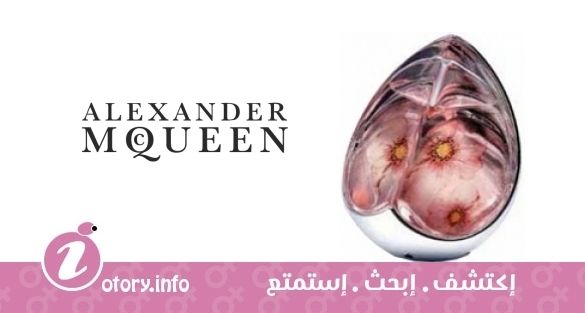 عطر الكساندر ماكوين كينجدوم ليمتد اديشن 2004 